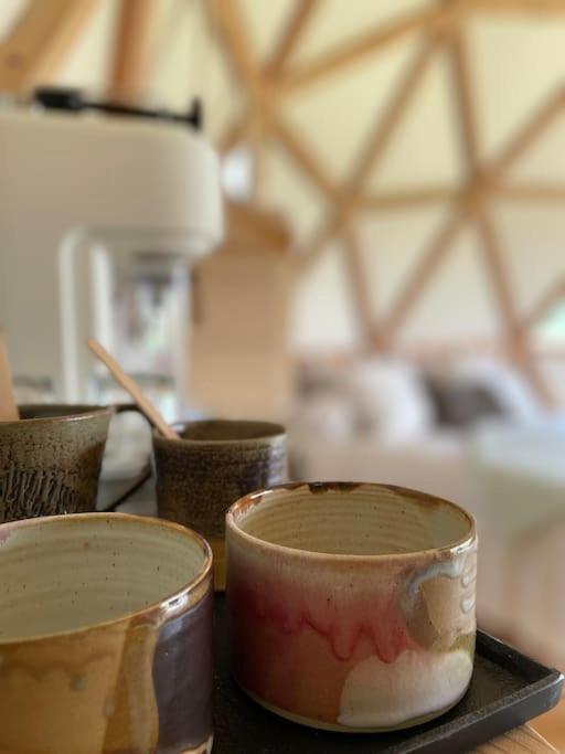 Dome Insolite Lichen Jacuzzi Et Petits-Dejeuners Inclus Gondrin Exterior photo